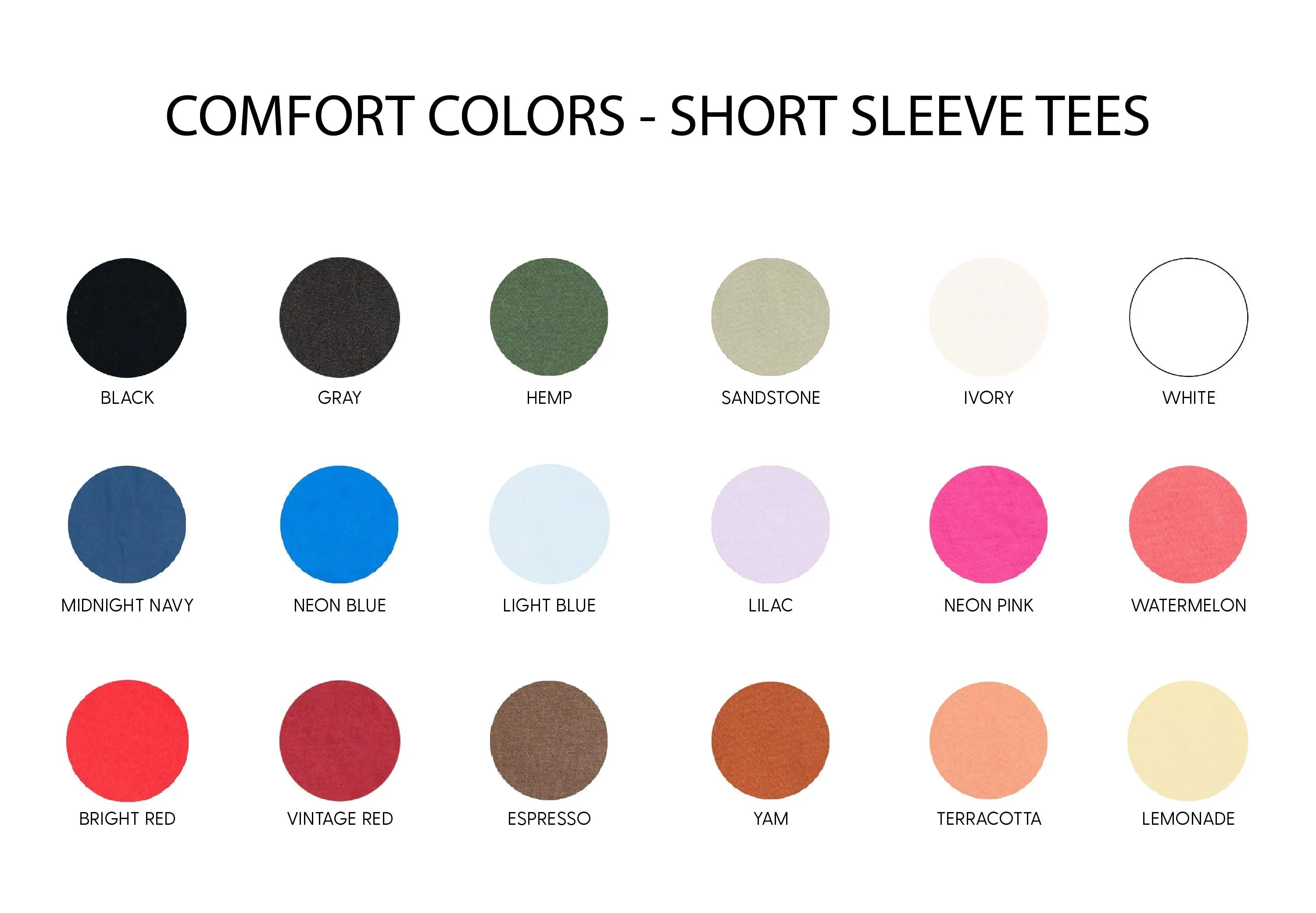 Dad Ingredients - SHORT SLEEVE COMFORT COLORS TEE