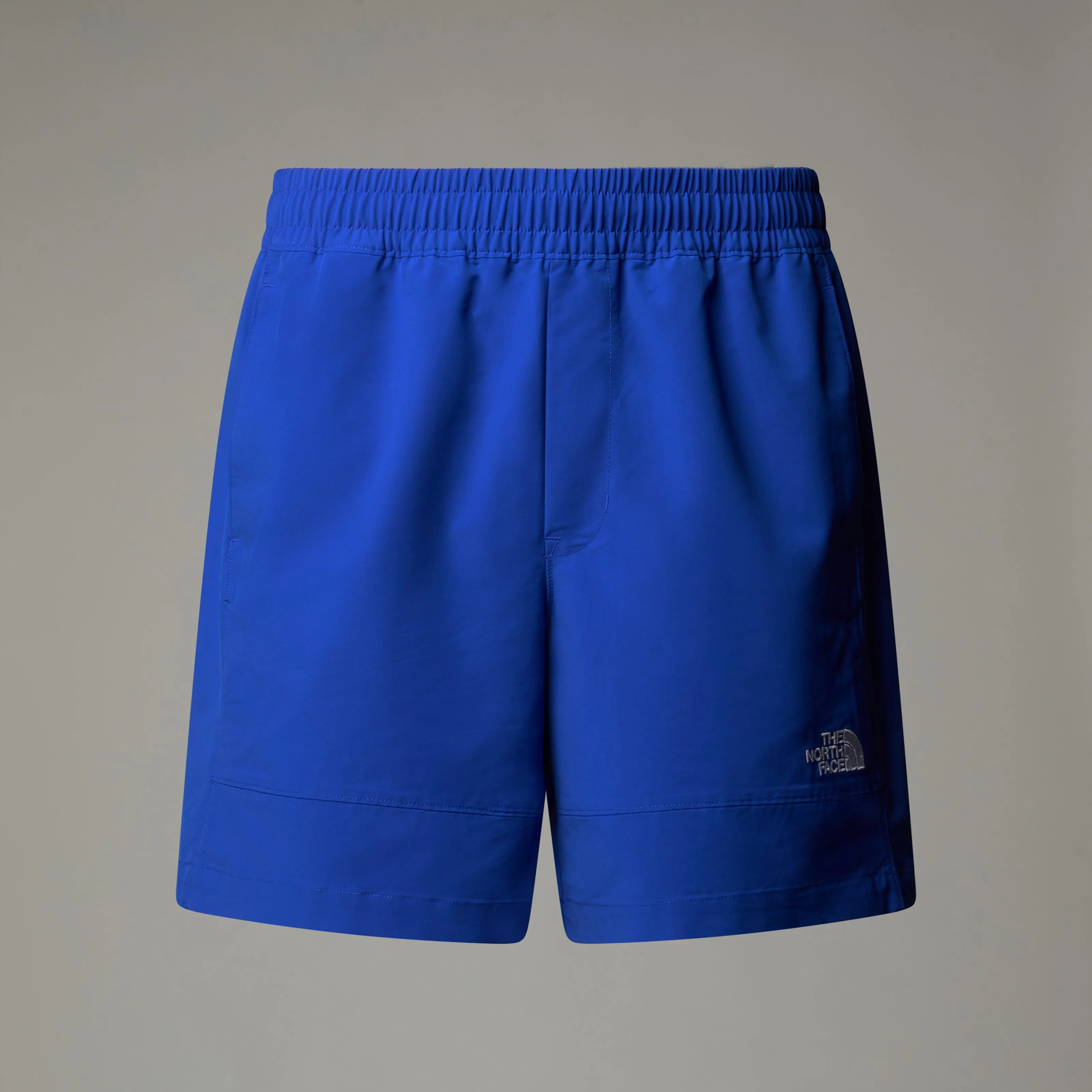 MEN'S TNF EASY WIND SHORTS