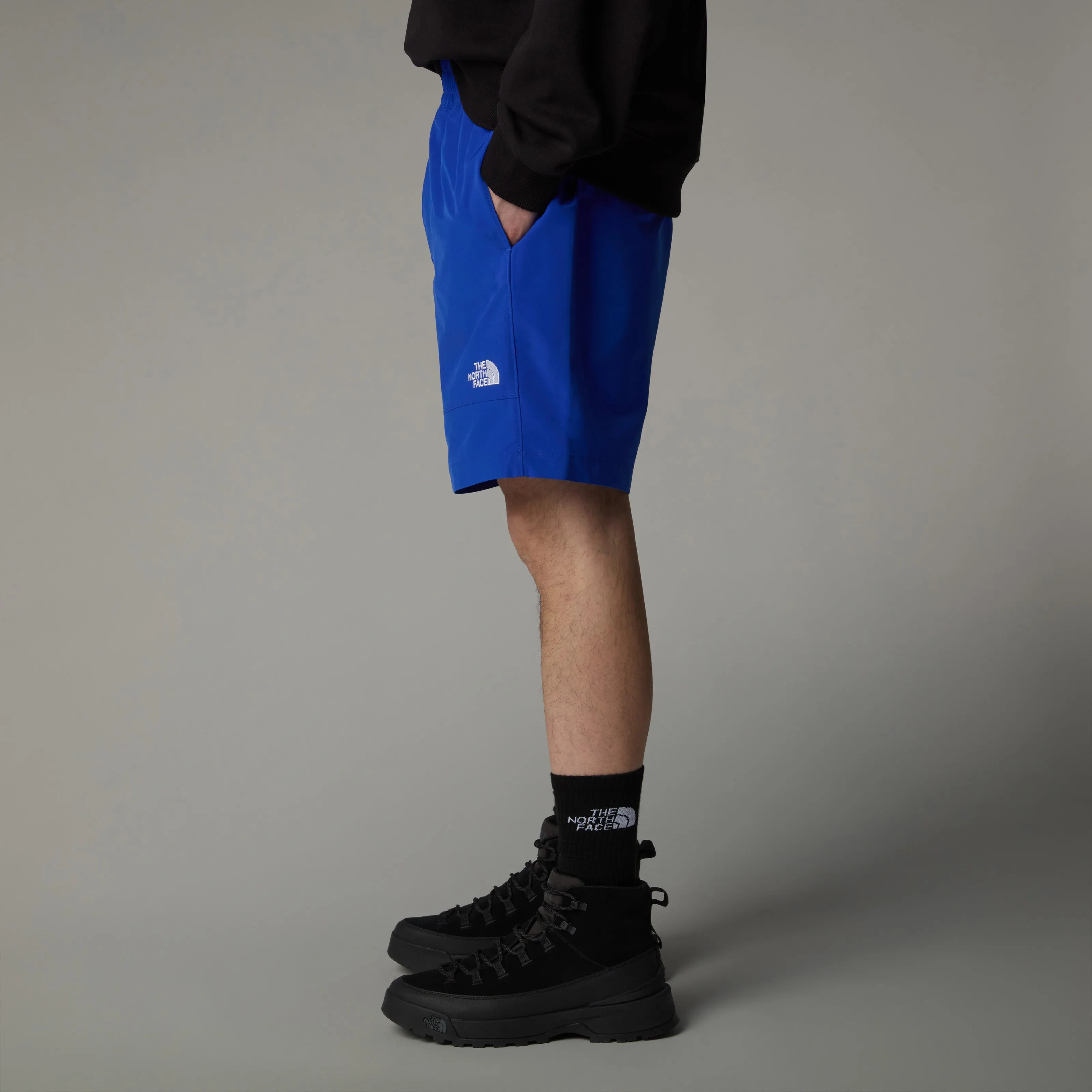 MEN'S TNF EASY WIND SHORTS